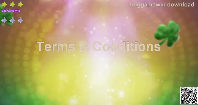Bdg Game Win Terms & Conditions page image – official legal agreement visual for bdggamewin.download